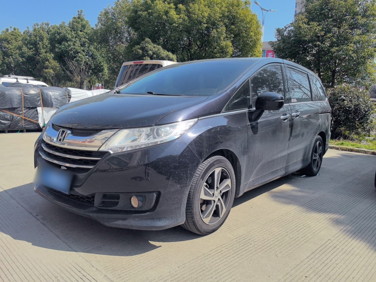 Parte inferior delantera