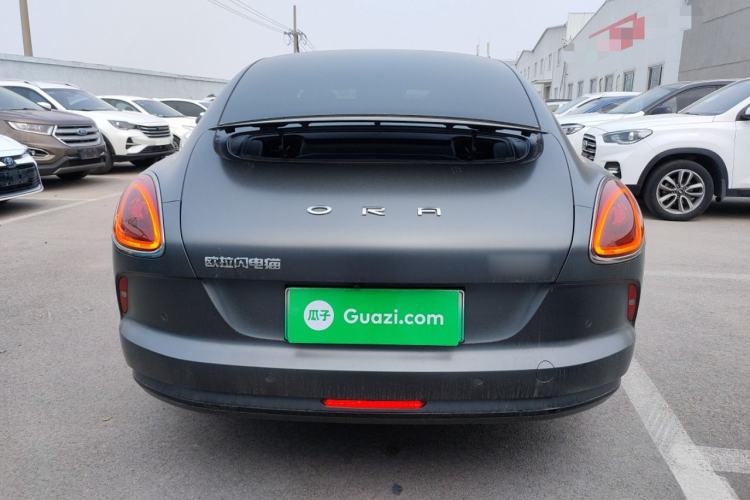 Used ORA Lightning Cat 2024 Dark Night Edition 600 km All-Wheel-Drive High-Performance Version
