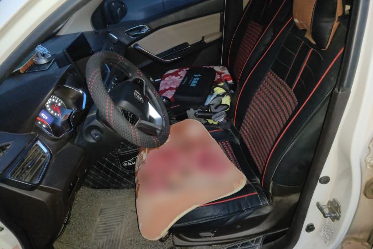 Used Baojun 310W 2017 1.5L Manual Luxury Edition China V Left Front Seat