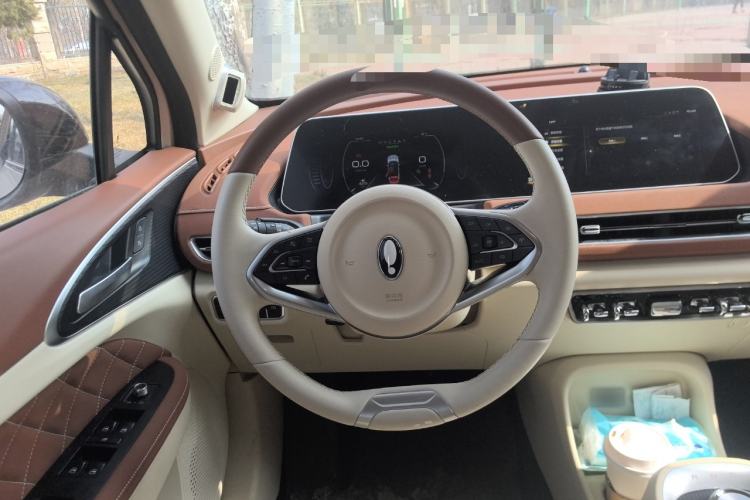 Used ORA Good Cat 2021 500km Long-Range Poseidon Edition Lithium-Ion Battery
