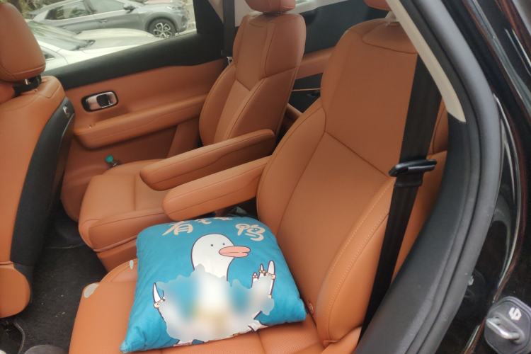 Used Leapmotor C16 2024 Range-Extended 200 Luxury Edition Left Rear Seat