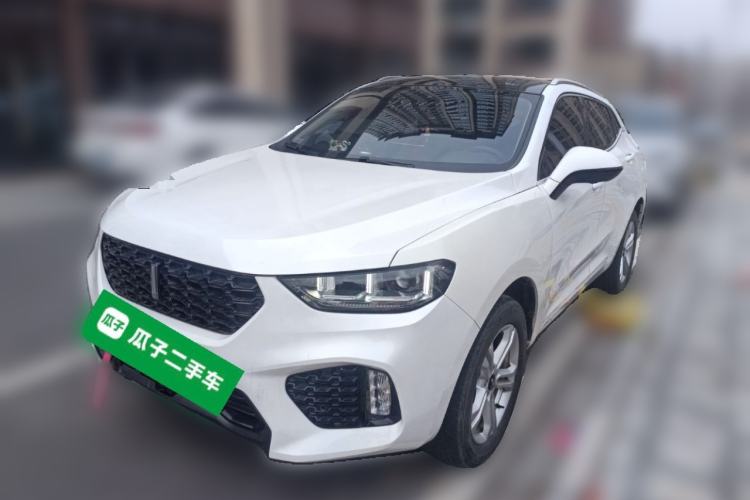 Used Wey VV5 2019 1.5T Two-Wheel Drive Color Pioneer