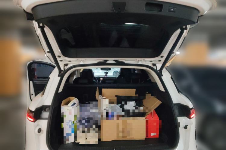 Used VOYAH FREE 2021 Two-Wheel Drive Standard Pure Electric Version Trunk