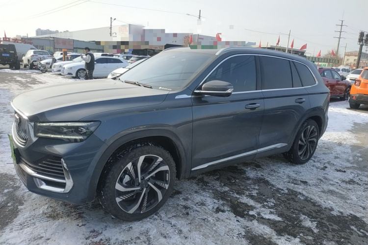 Used Geely Auto Monjaro L 2024 2.0TD High-Power Automatic Two-Wheel Drive Skyline Edition
