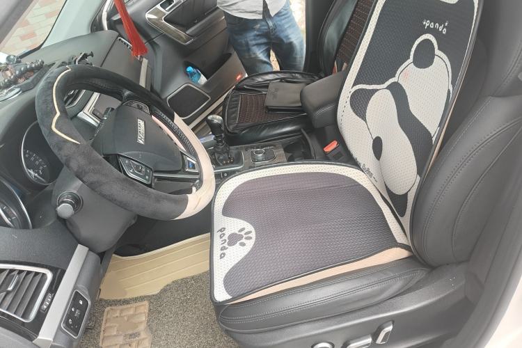 Used Haval H6 Coupe 2016 Blue Label 1.5T Manual Two-Wheel Drive Elite Model Left Front Seat