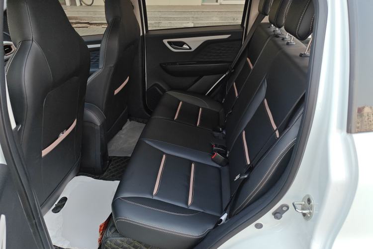 Used SOL E10X 2022 Flower Fairy Design Four-Leaf Clover