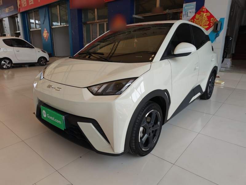 Used BYD Seagull 2023 Free Edition — 1