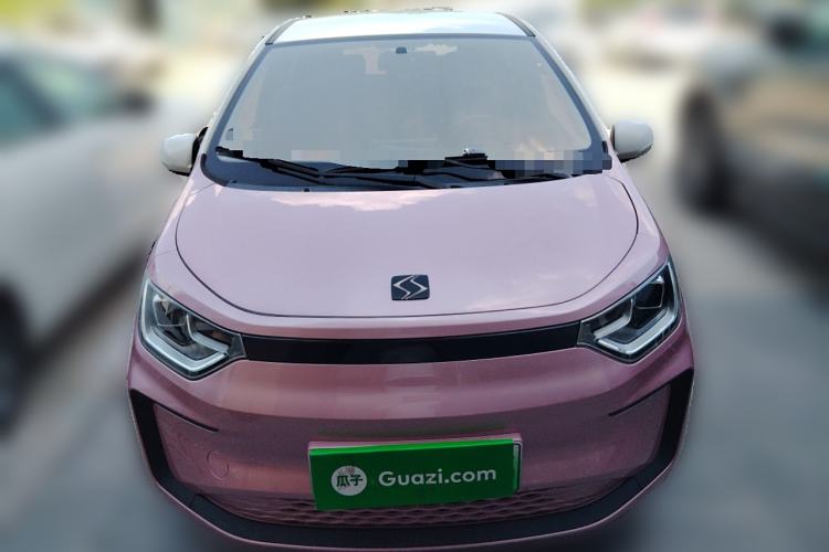 Used SOL E10X 2022 Flower Fairy Style Baby's Breath