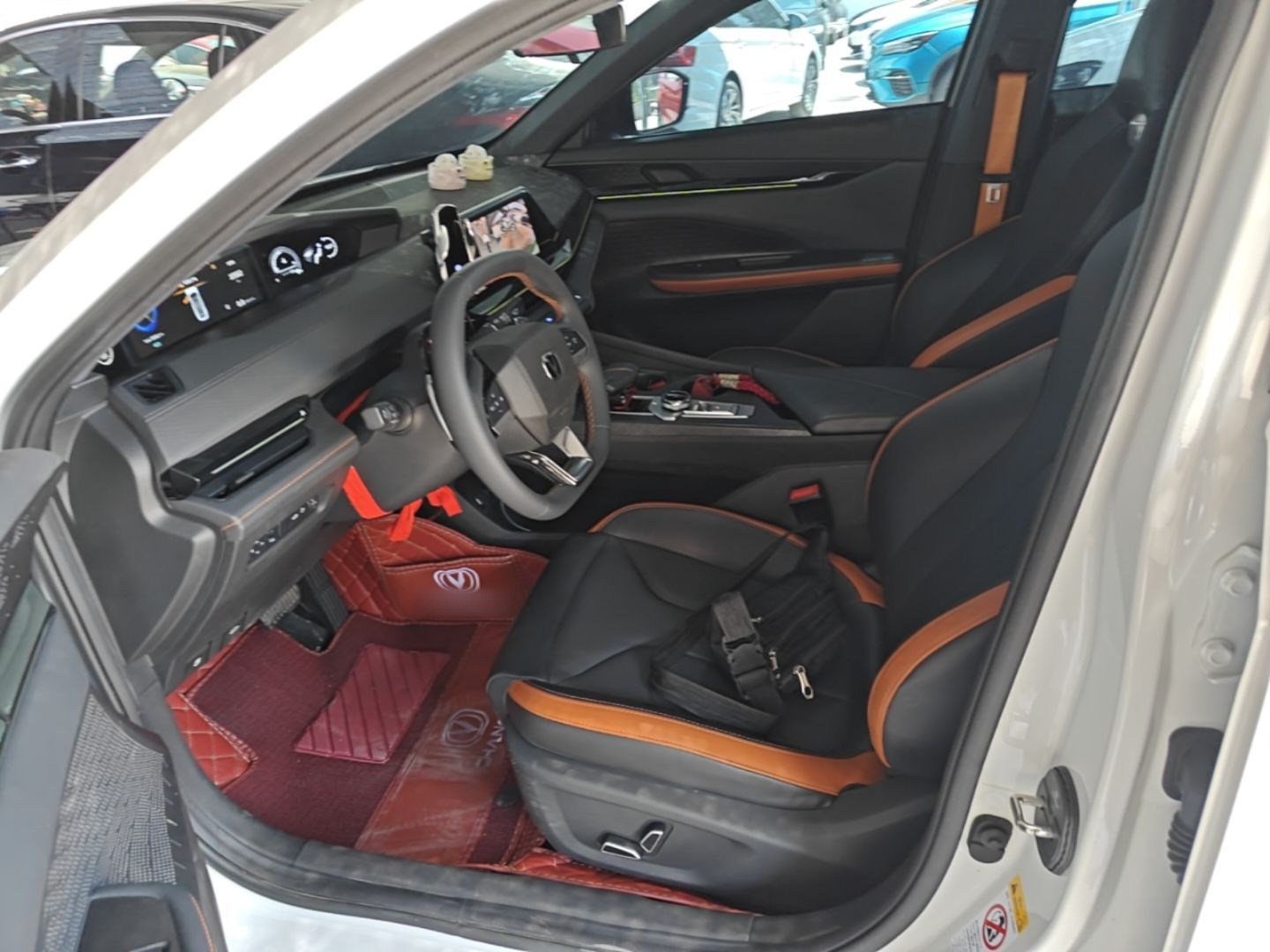 Interior delantero
