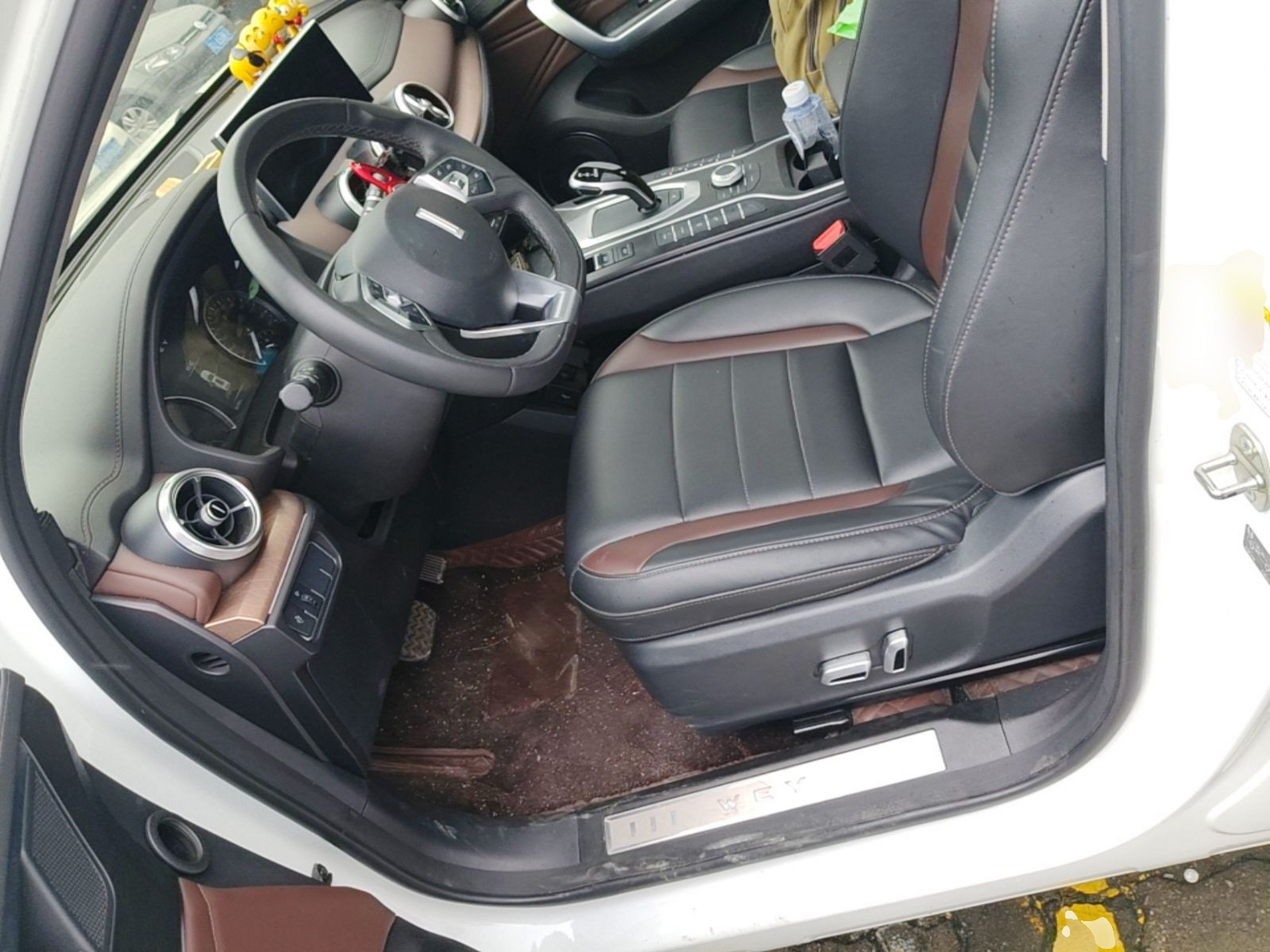 Interior delantero