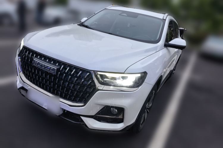 Used Haval H6 2023 National Trend Edition 1.5T Automatic Champion Version