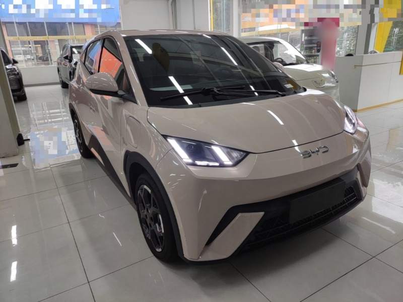 Used BYD Seagull 2024 Honor Edition 305km Freedom Version — 3