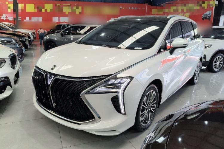 Used FORTHING Yacht 2024 1.5T DCT Guanhai Edition