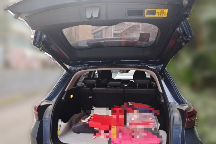 Used EXEED Zhuifeng 2020 Chasing the Waves Edition 1.5T CVT Xingrui Version
