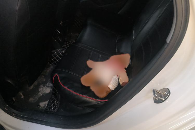 Used Audi A3 2020 Sportback 35 TFSI Sporty Model China VI
