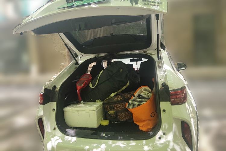 Used Haval H6S 2022 2.0T Two-Wheel Drive JoyRun Version