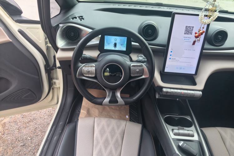 Used BYD Dolphin 2023 420 km Free Version Steering Wheel