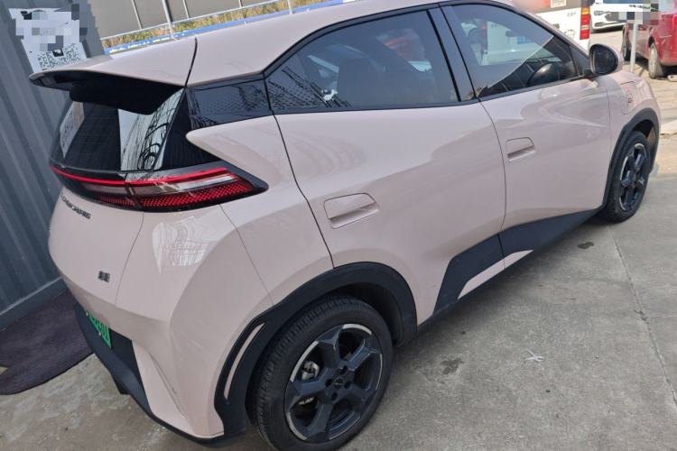 Used BYD Seagull 2024 Honor Edition 305km Freedom Version
