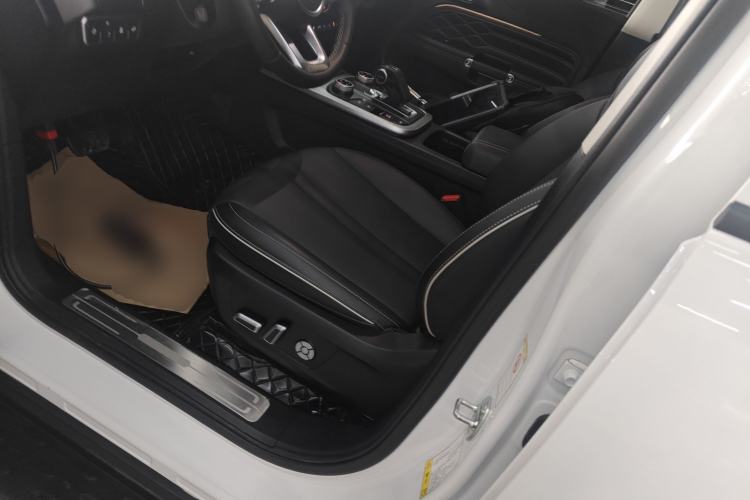 Used Tank 300 2024 2.0T Conqueror