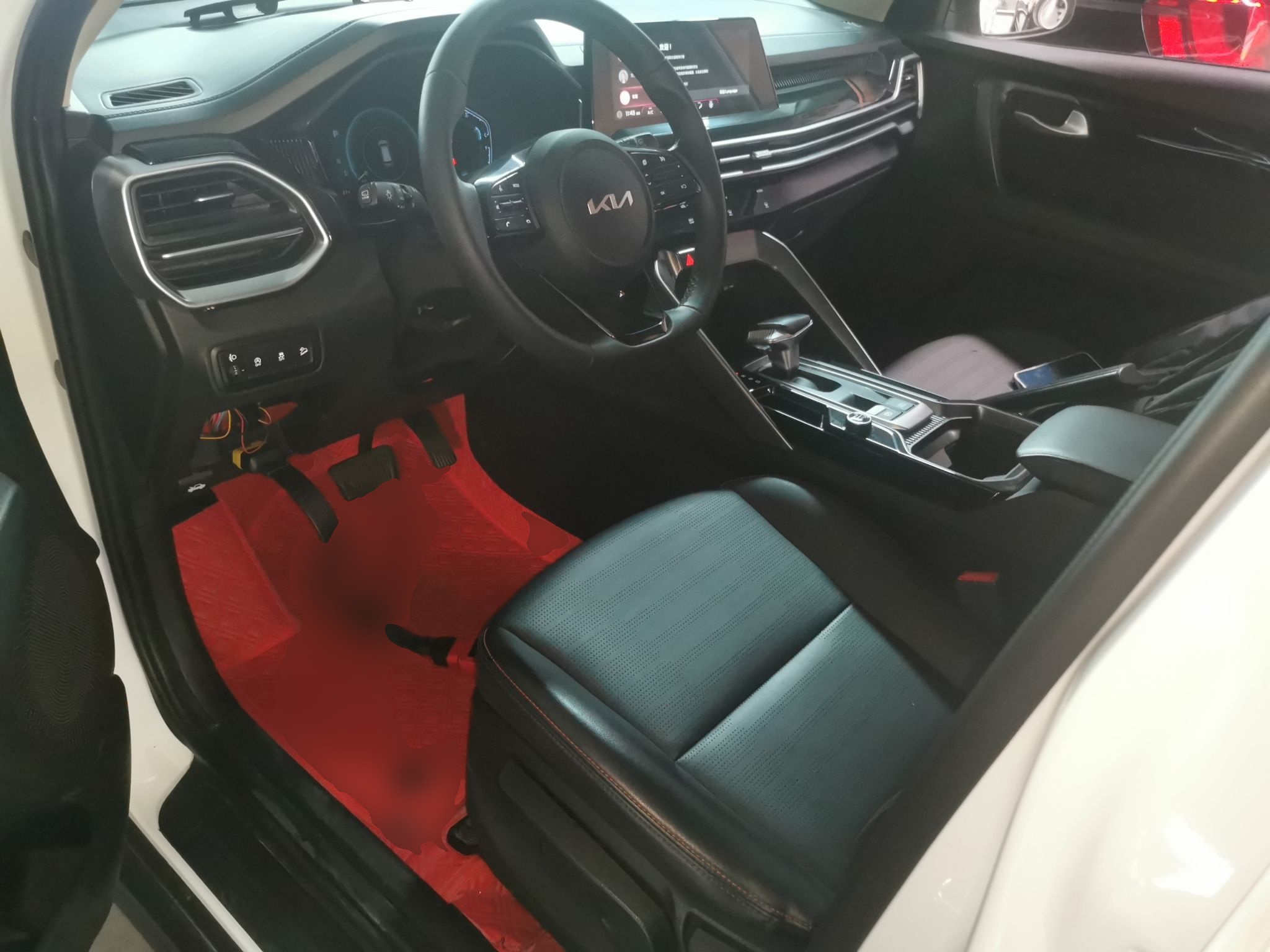 Interior delantero
