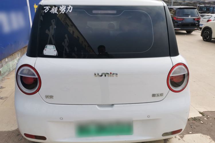 Used CHANGAN NEVO Lumin 2023 205km Xiangqin Version Rear