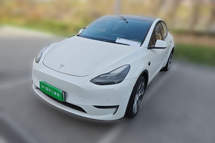 Used Tesla Model Y 2021 Standard Range Rear-Wheel Drive Version