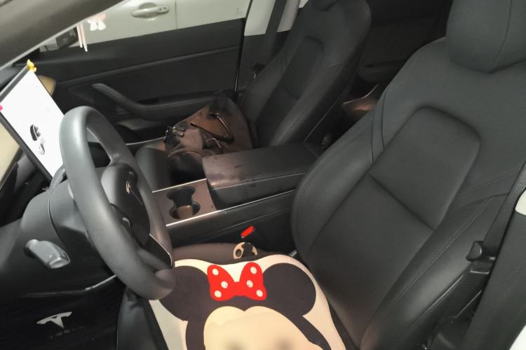 Used Tesla Model 3 2020 Revised Version Standard Range Rear-Wheel Drive – Upgraded Edition
