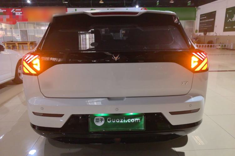 Used ARCFOX T1 2025 Model 320 PRO Rear