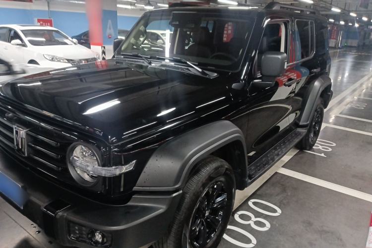 Used Tank 300 2024 2.0T Conqueror