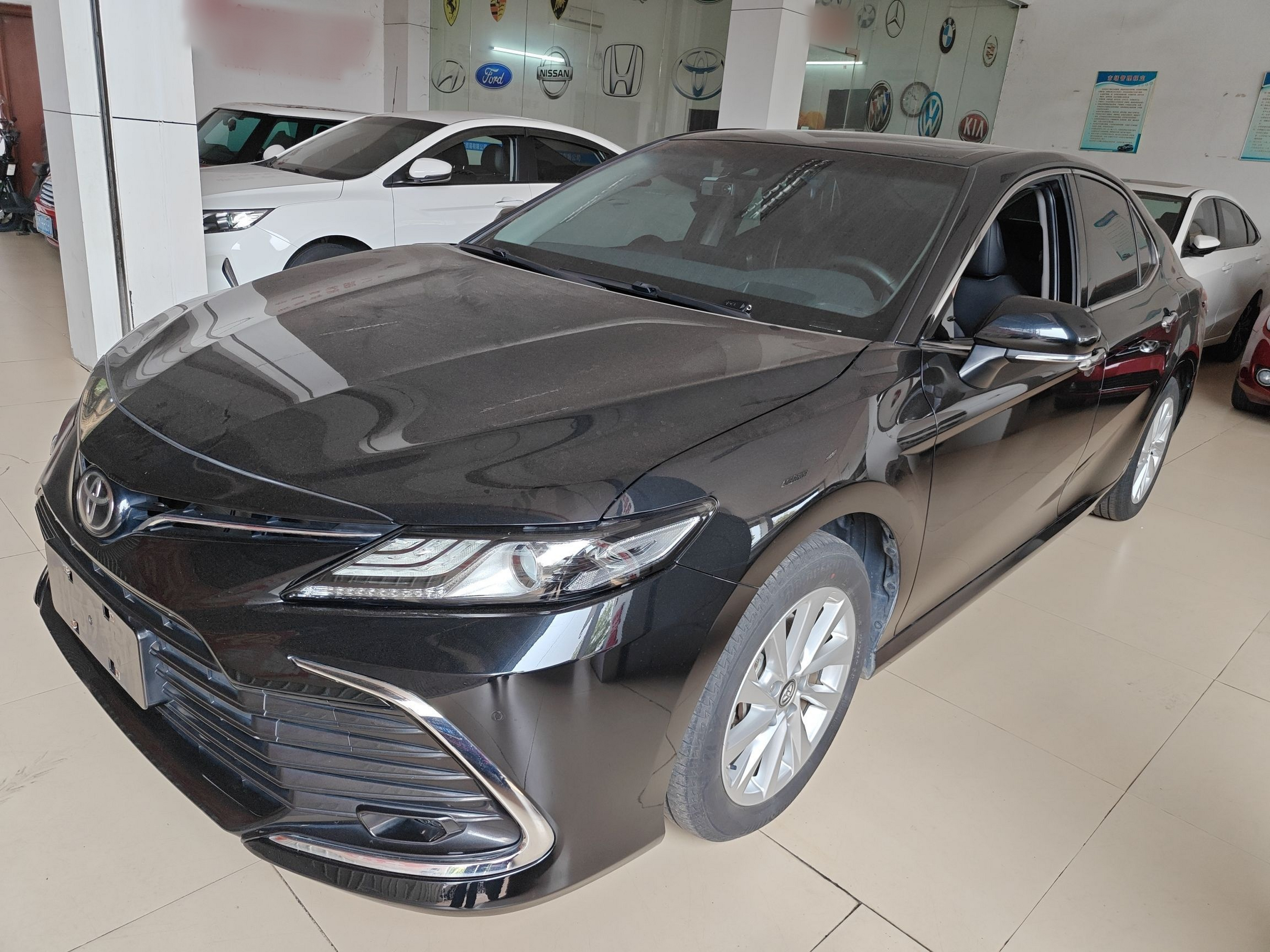 Parte inferior delantera