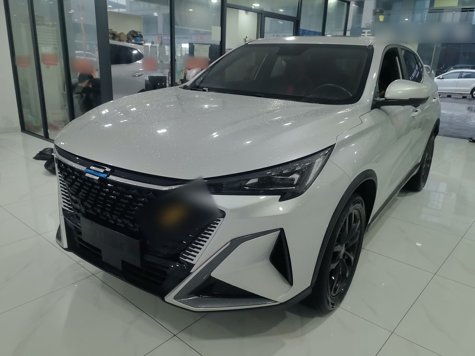 Parte inferior delantera