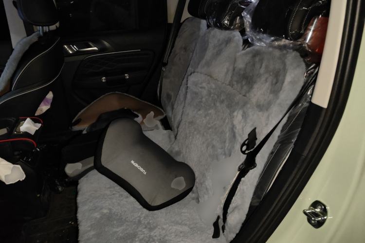 Used Tank 300 2024 2.0T Crosser
