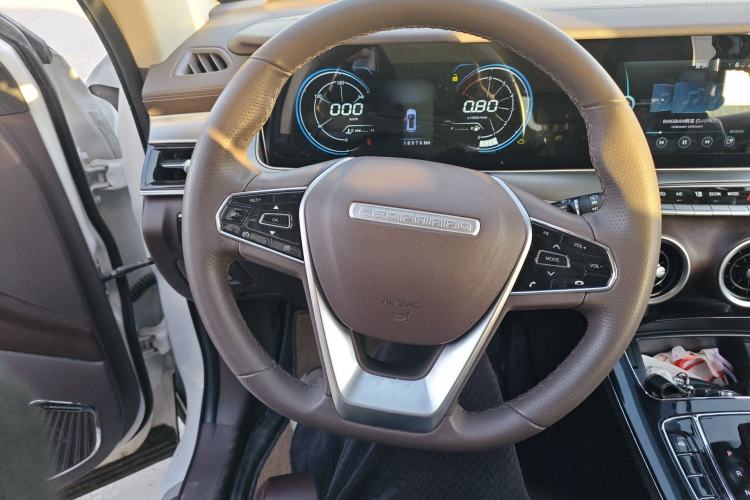 Used Leopaard Mattu 2018 1.6T GDI DCT Elite Model Steering Wheel