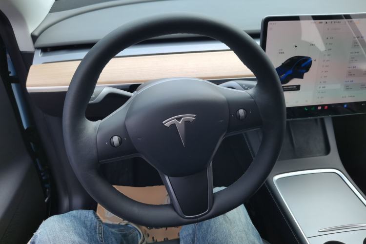 Used Tesla Model Y 2021 Long-Range All-Wheel-Drive Version
