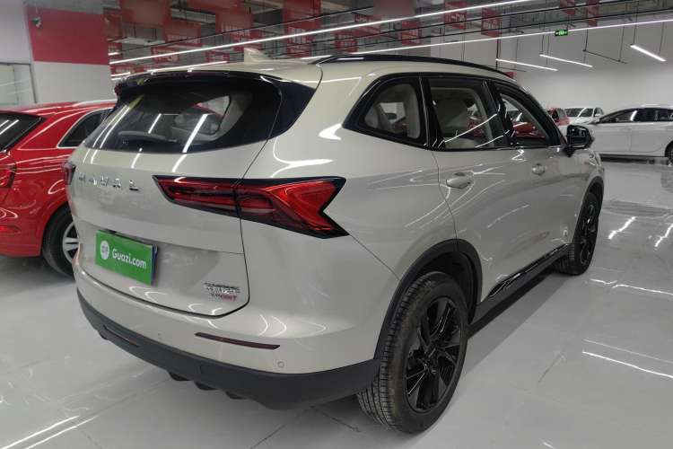 Used Haval H6 2024 2.0T Two-Wheel Drive Max