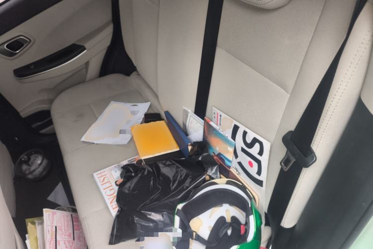 Used Dayun Yuehu 2023 300 Standard Edition