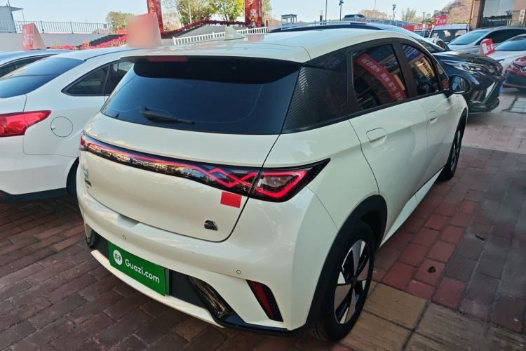 Used BYD Dolphin 2024 Honor Edition 420km Freedom Version