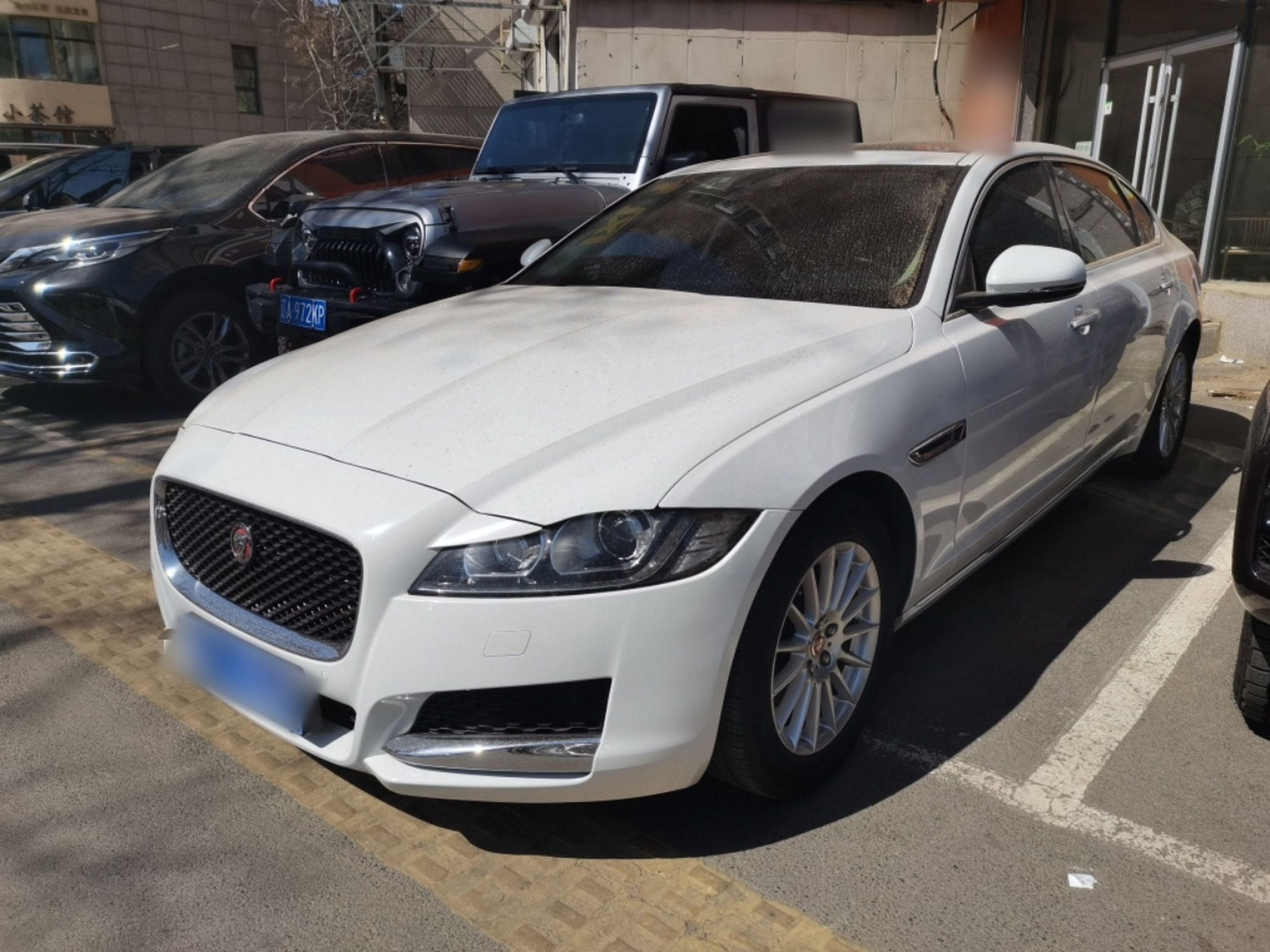 Parte inferior delantera