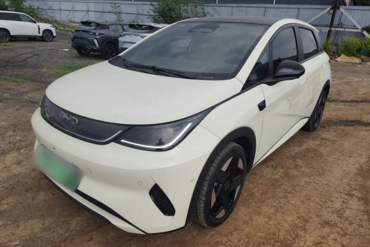 Used BYD Dolphin 2025 Intelligent Driving Version 520km Range Knight Edition