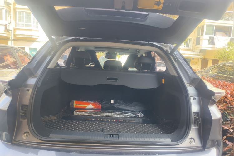 Used NETA U 2021 Pro 500 Lunar Edition
