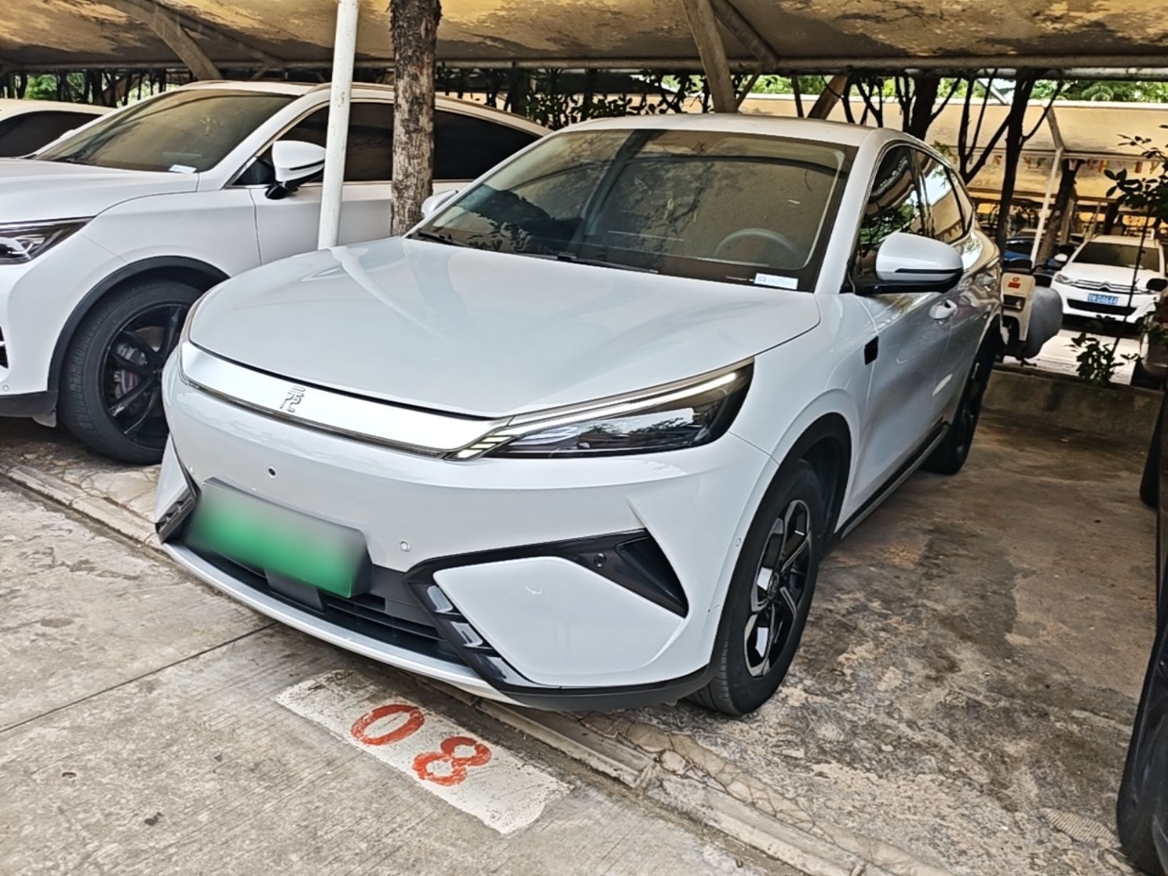 Under Front Bumper