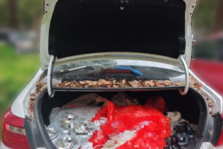 Used Geely Auto Vision 2018 1.5L Automatic Happiness Edition Trunk