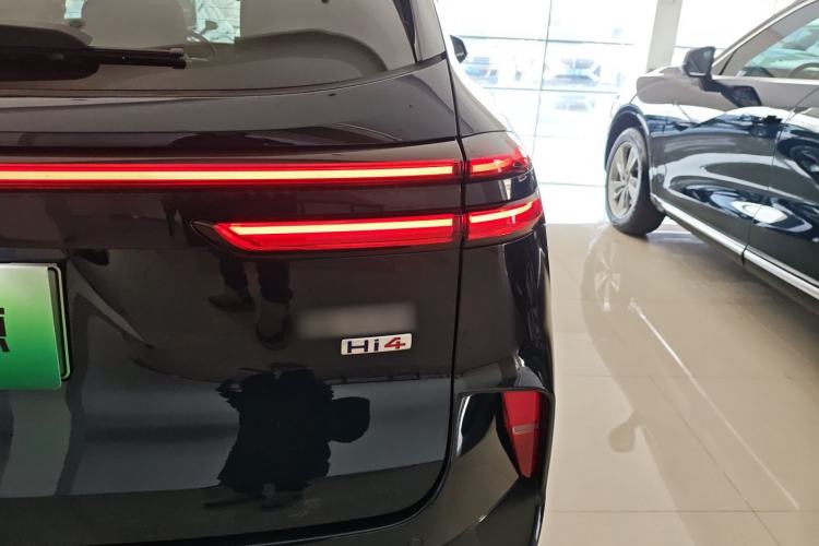 Used Wey Mocha New Energy 2024 Hi4 Four-Wheel Drive Long-Range Version