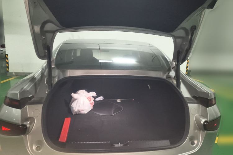 Used XPeng P7 2020 670N
