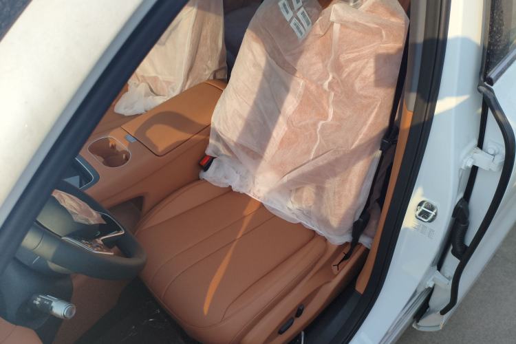 Used Hima H5 2025 Model Pure Electric Max