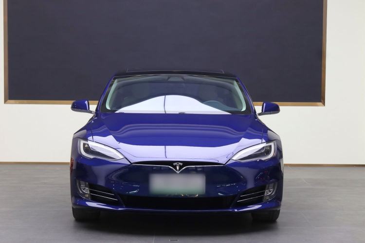 Used Tesla Model S 2019 Long-Range Version
