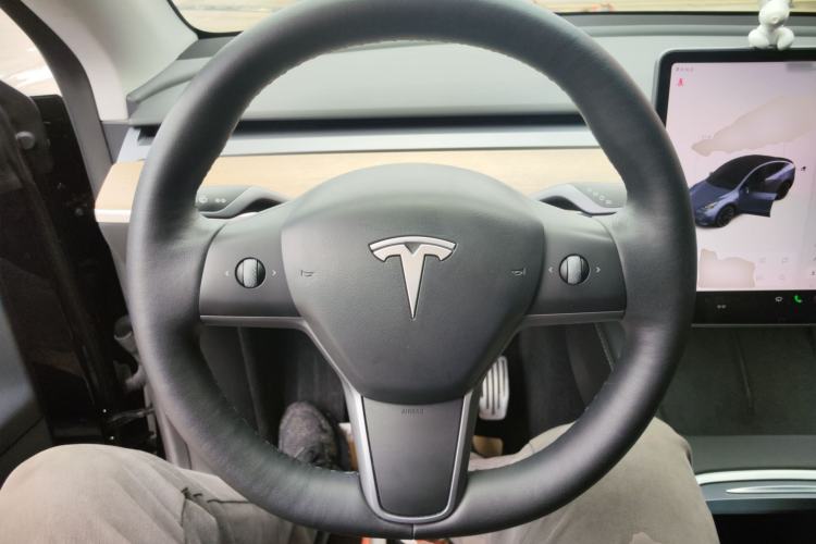 Used Tesla Model Y 2021 Standard Range Rear-Wheel Drive Version
