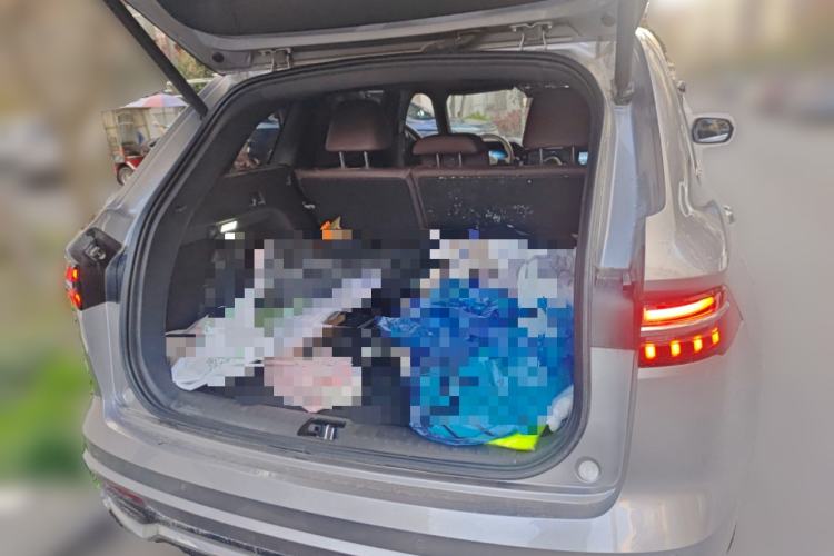 Used Geely Auto Monjaro L 2024 2.0TD High-Power Automatic Two-Wheel Drive Yunqi Version
