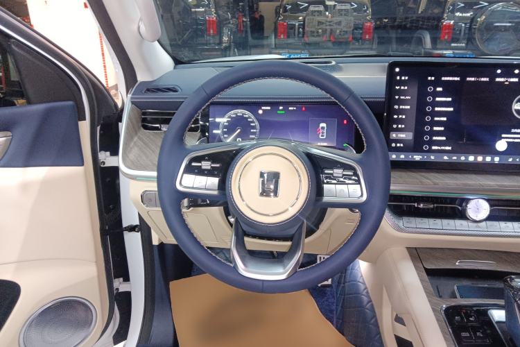 Used Tank 500 New Energy 2023 Hi4-T Steering Wheel