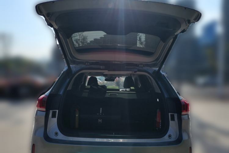 Used Wey VV6 2021 2.0T Two-Wheel Drive Smart Plus